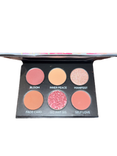Load image into Gallery viewer, Vanessa Vixen Rose Nudes Mini Palette